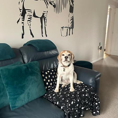 Hereford - Finch House - Modern 4 Bedroom House Located In South Hereford, Dog Friendly With Nearby Countryside, Pool Table, Sleeps Up To 10 Guests - Hosted By Rentmyhouse 외부 사진