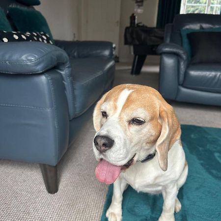 Hereford - Finch House - Modern 4 Bedroom House Located In South Hereford, Dog Friendly With Nearby Countryside, Pool Table, Sleeps Up To 10 Guests - Hosted By Rentmyhouse 외부 사진