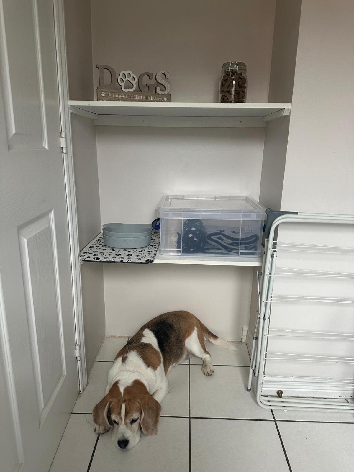 Hereford - Finch House - Modern 4 Bedroom House Located In South Hereford, Dog Friendly With Nearby Countryside, Pool Table, Sleeps Up To 10 Guests - Hosted By Rentmyhouse 외부 사진