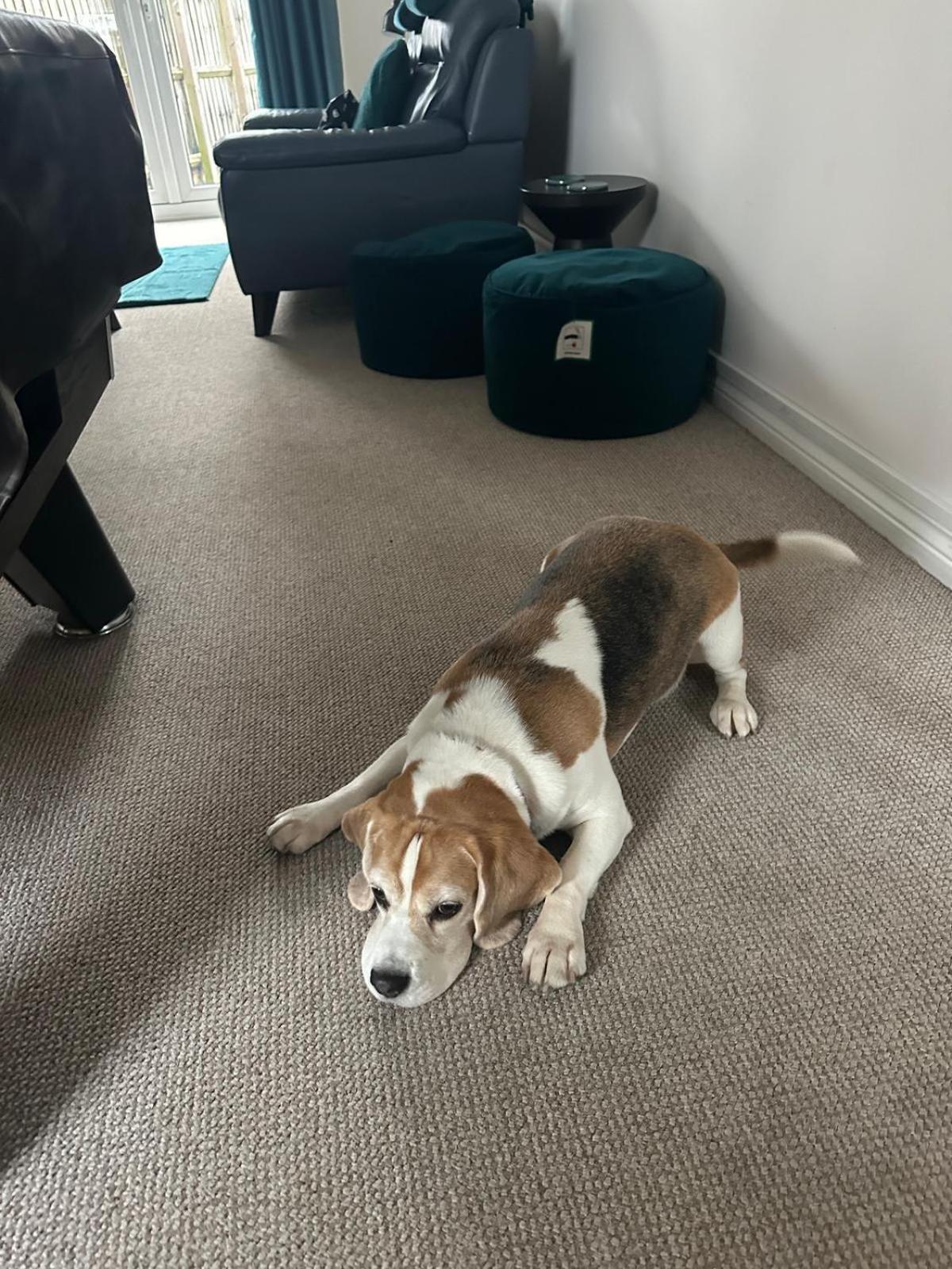 Hereford - Finch House - Modern 4 Bedroom House Located In South Hereford, Dog Friendly With Nearby Countryside, Pool Table, Sleeps Up To 10 Guests - Hosted By Rentmyhouse 외부 사진
